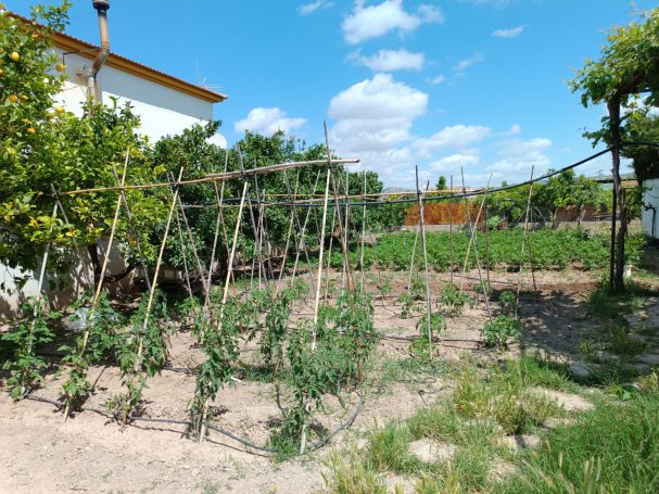 Terreno rústico en venta – Los Llanos, Cuevas de San Marcos (Málaga) 